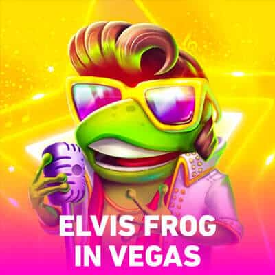 Terms and Conditions Explained for elvis frog in vegas free spins no deposit